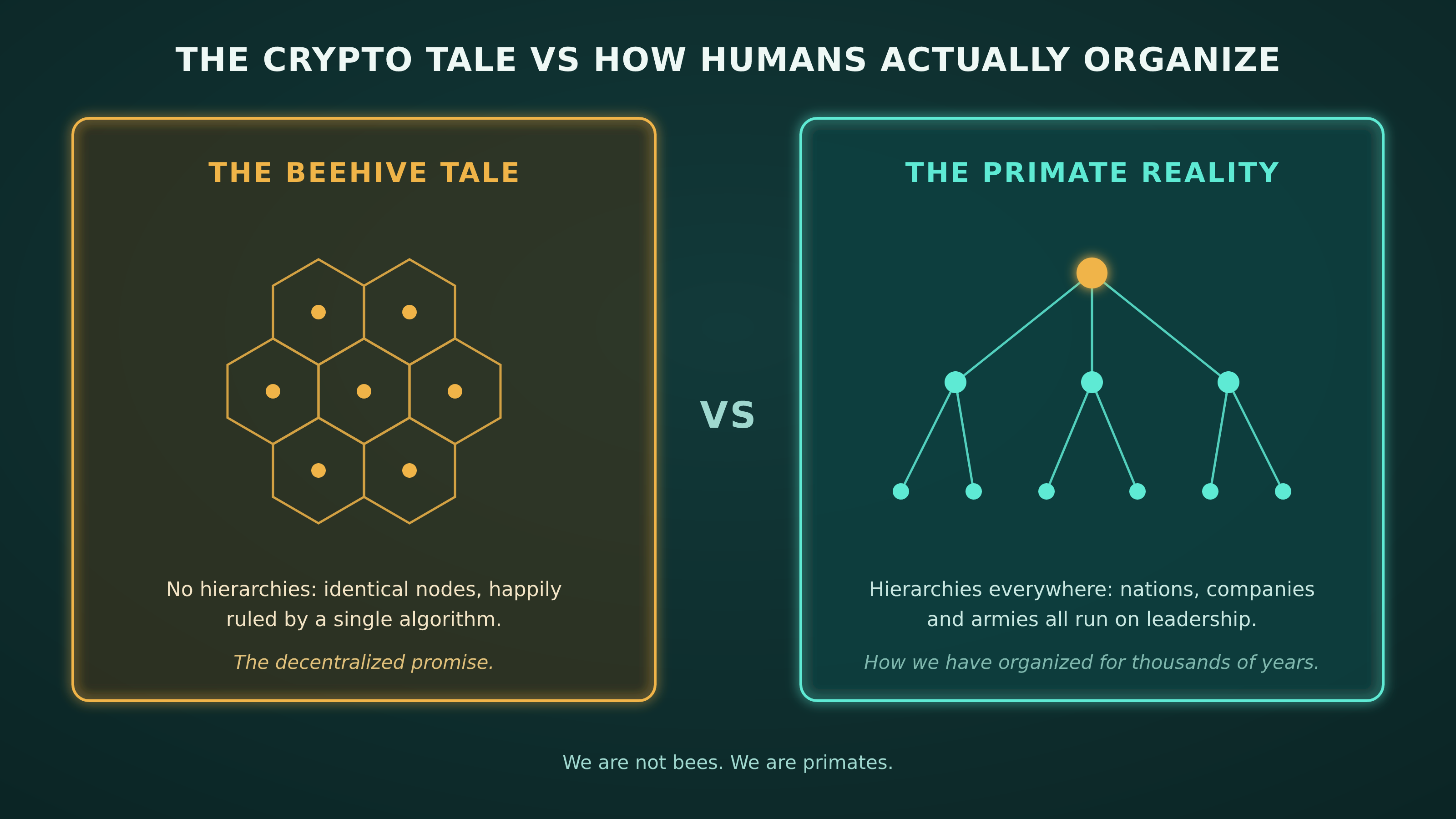 A side-by-side comparison of the crypto tale versus how humans actually organize: on the left, the beehive tale, a honeycomb of identical nodes happily ruled by a single algorithm, the decentralized promise; on the right, the primate reality, a hierarchy tree with a leader at the top, the way nations, companies and armies have organized for thousands of years